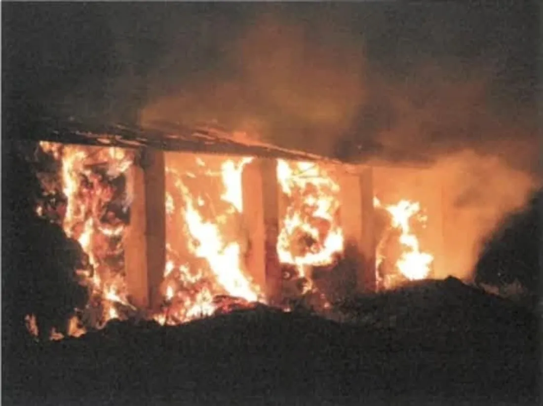 feux volontaires nord 