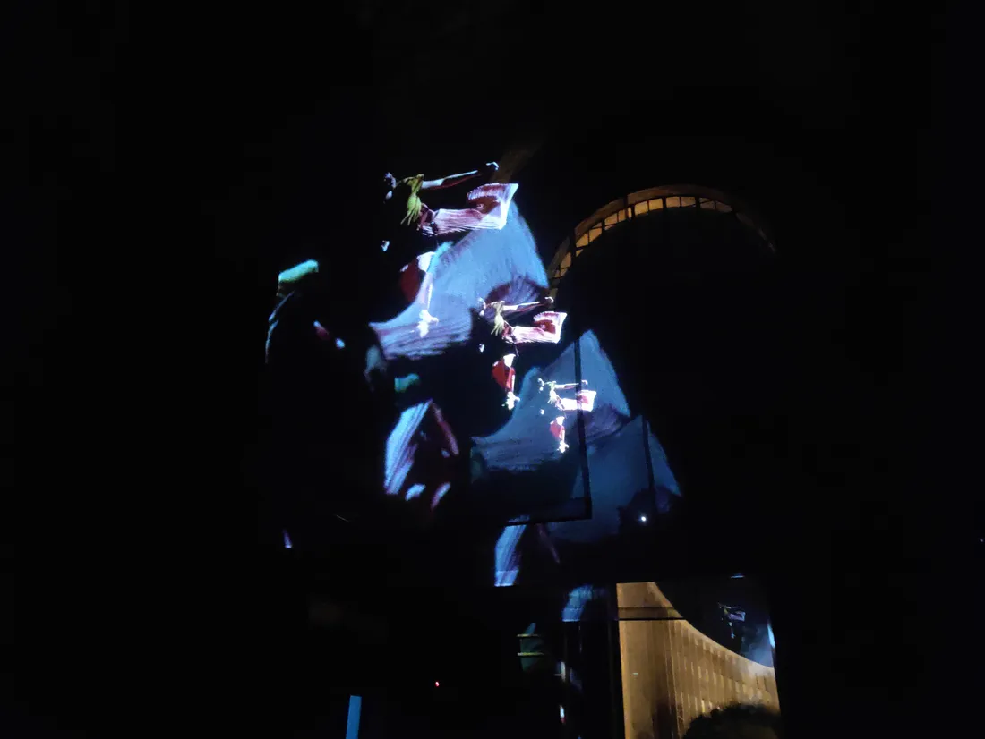 « Limbes » par Nico Neefs, au musée de la Cour d'Or