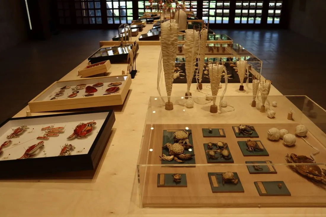 , en partenariat avec La Cour d'Or