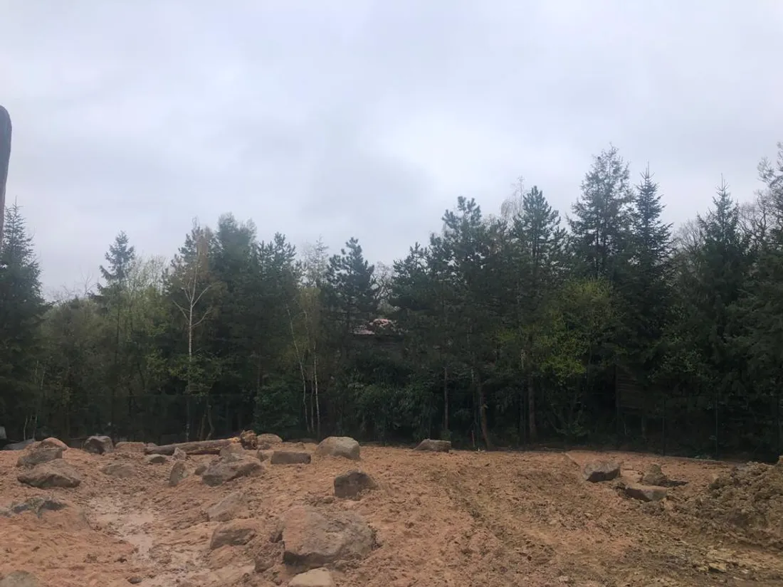 Extension de l'enclos  