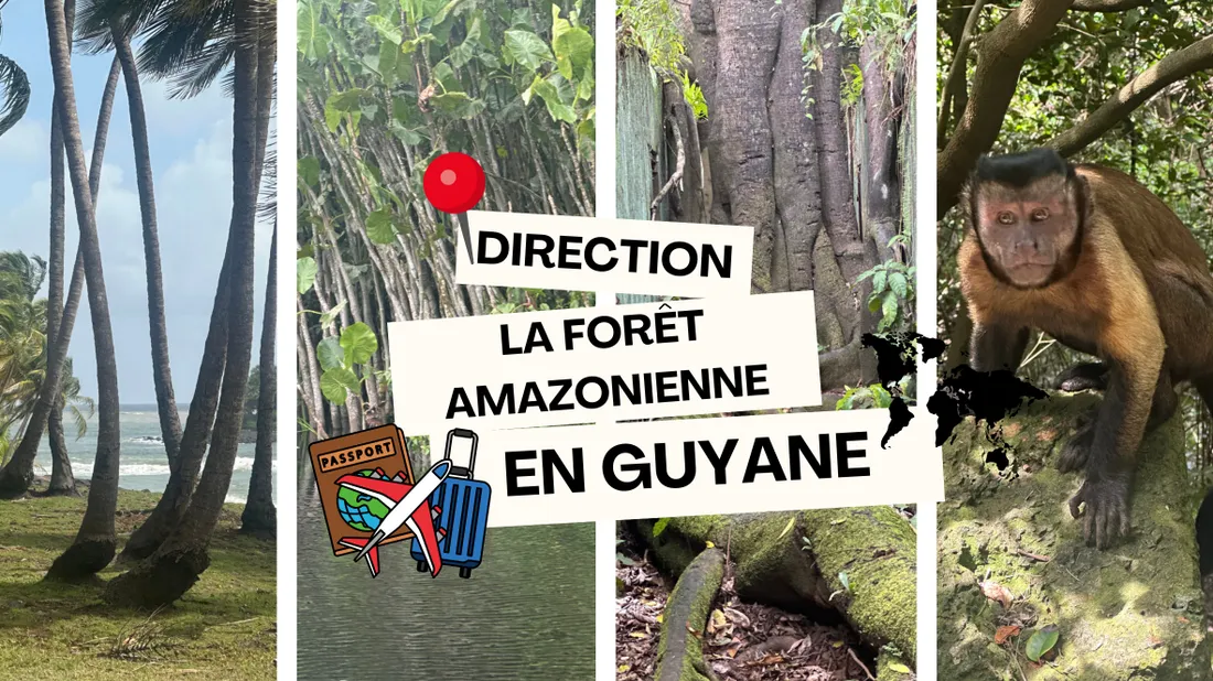 guyane