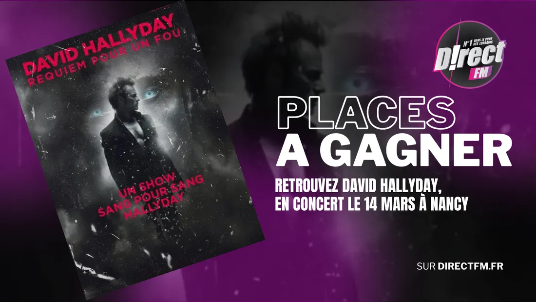 DAVID HALLYDAY ZENITH DE NANCY 14 MARS CONCERT CONCOURS