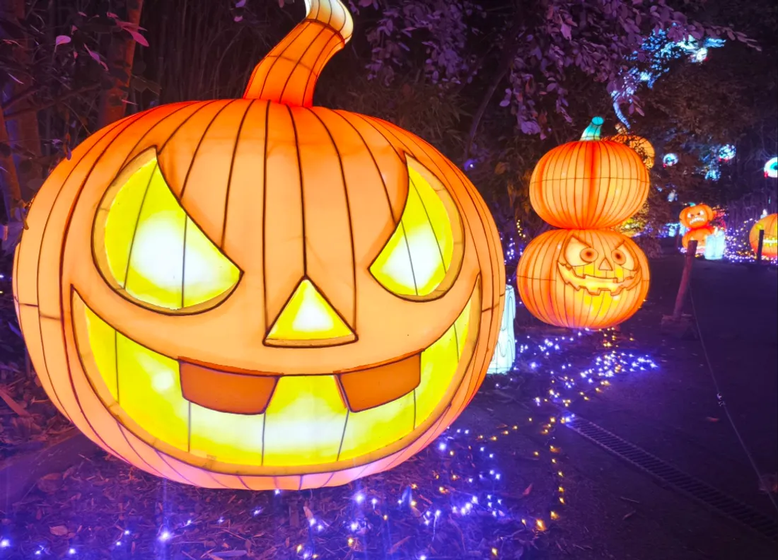 Halloween est à l'honneur sur le parcours de Luminescences au Zoo d'Amnéville.
