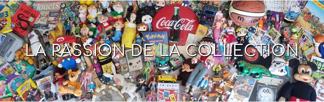 La passion de la collection 