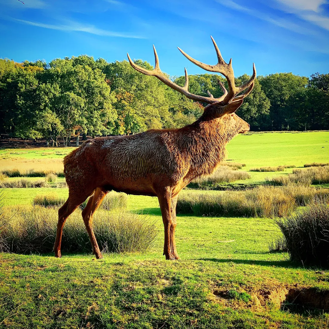 Une découverte magique pour chacun