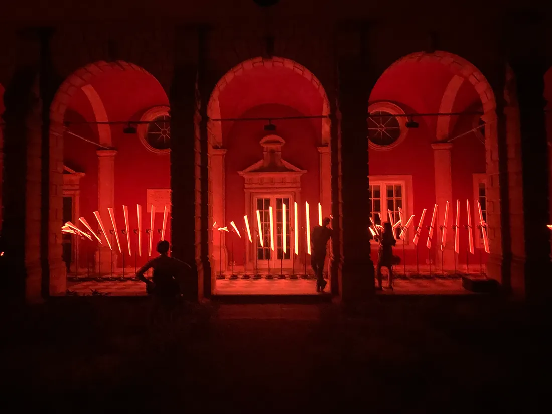 Photos : Constellations 2021 se dévoile