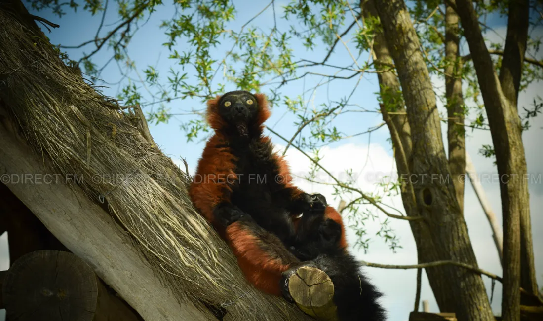 Le reportage sera diffusé le matin du dimanche 12 septembre 
