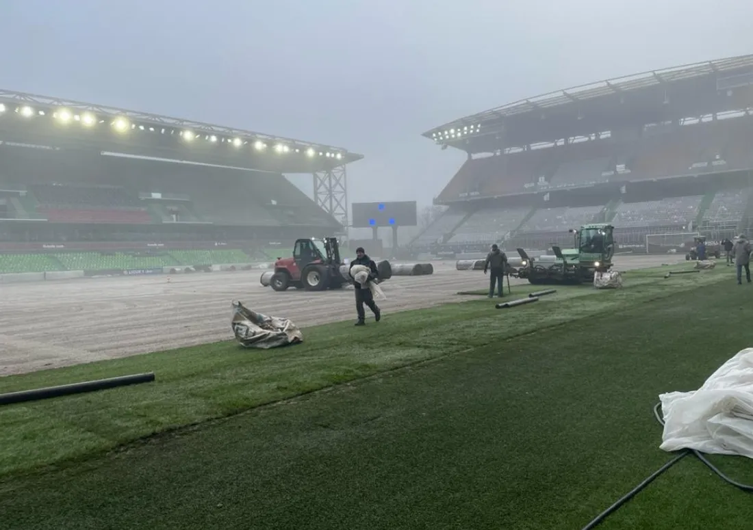 La pose de la nouvelle pelouse au stade Saint-Symphorien