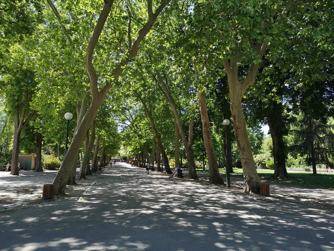 parc de la pépinière