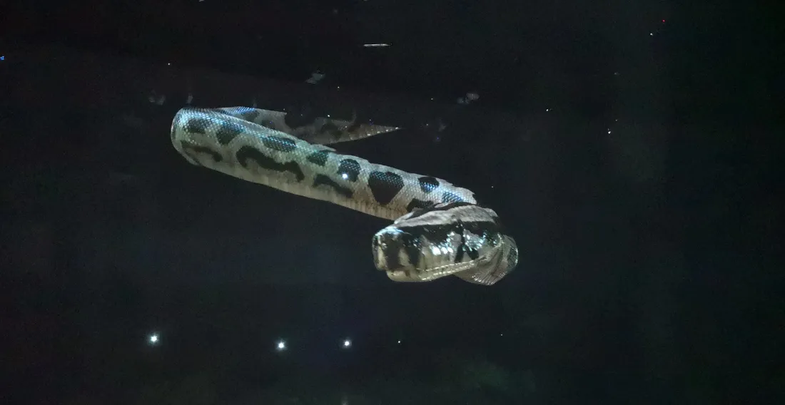 Quand la technologie se met au service de la pédagogie 