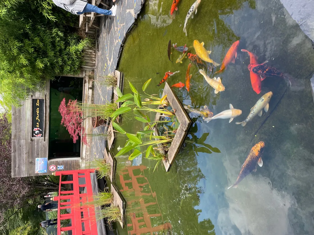 Plongez dans un monde incroyable à l’Aquarium d’Amnéville