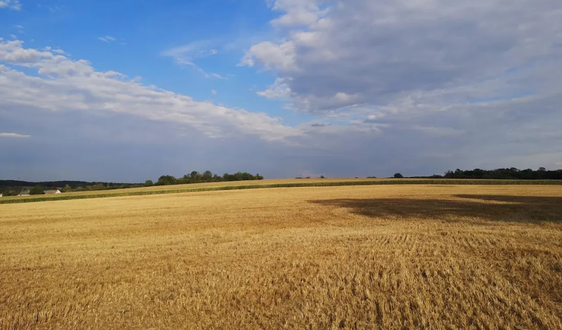 La campagne de Meurthe-et-Moselle