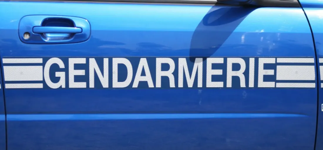 "Merci de prendre contact avec la brigade de FROUARD si vous avez vu ou pensé voir ALEXIA