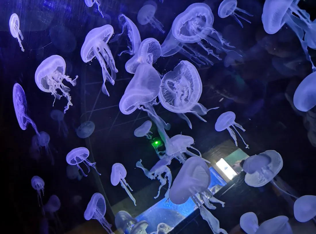 Exclusivement sur rendez-vous via Doctolib