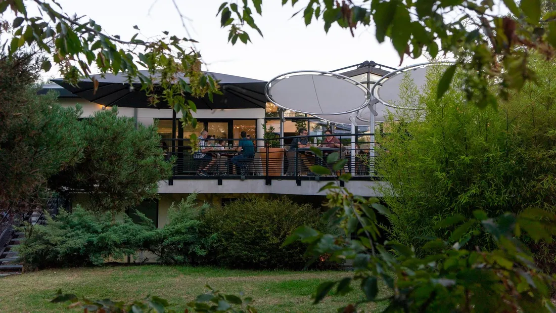 des roses et des orties