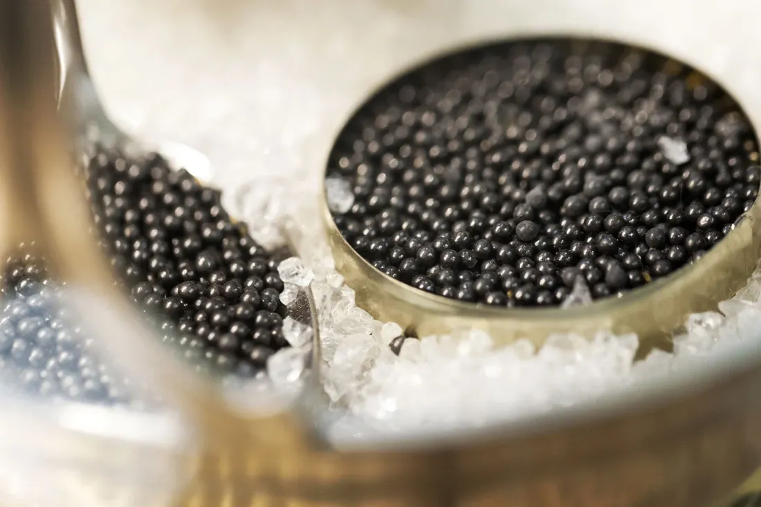 Caviar