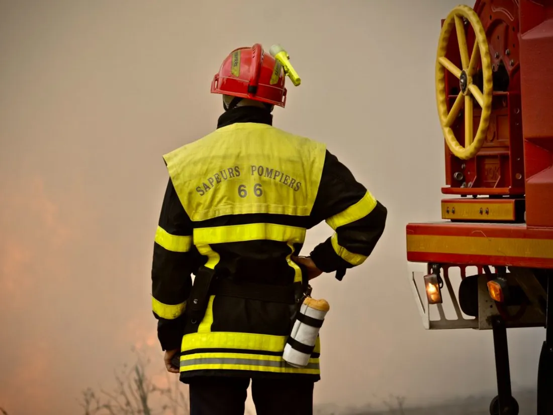 Feu-Aude-Vegetation-Foret