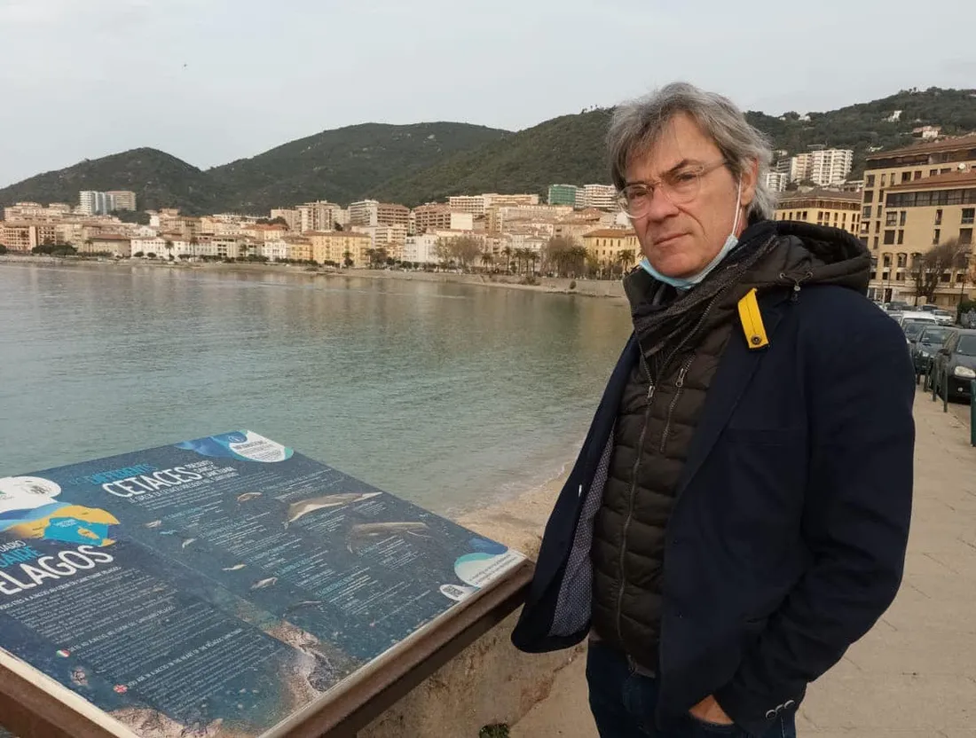 Frédéric Pache disparition