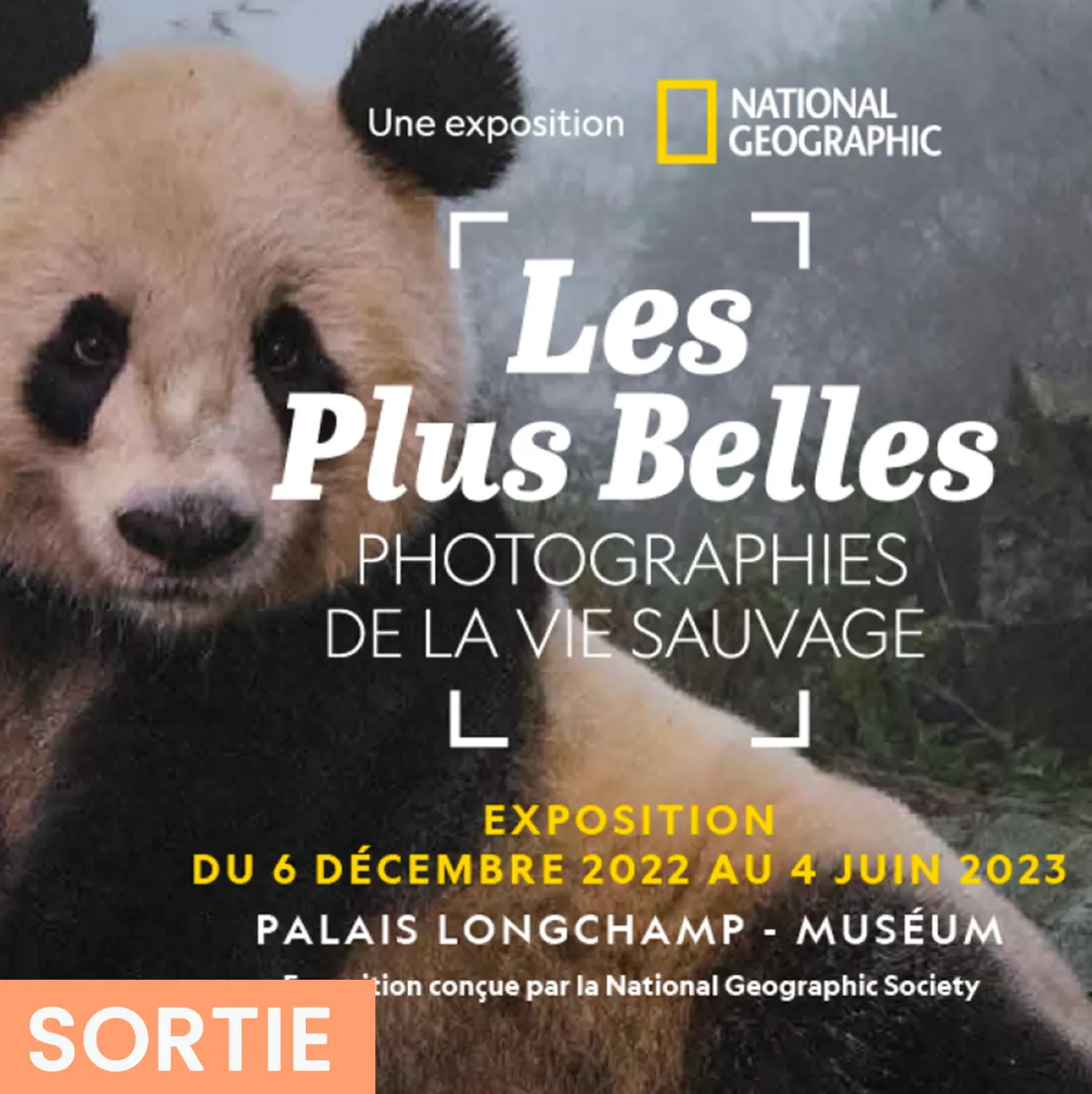 Les plus belles photos d'animaux sauvages de la planète sont exposées