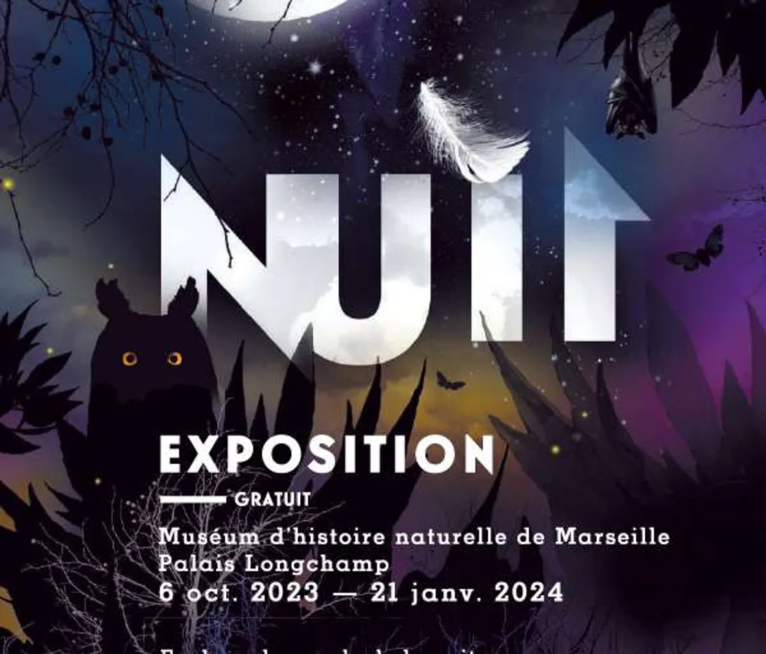 Plongez dans le monde mystérieux de la nuit