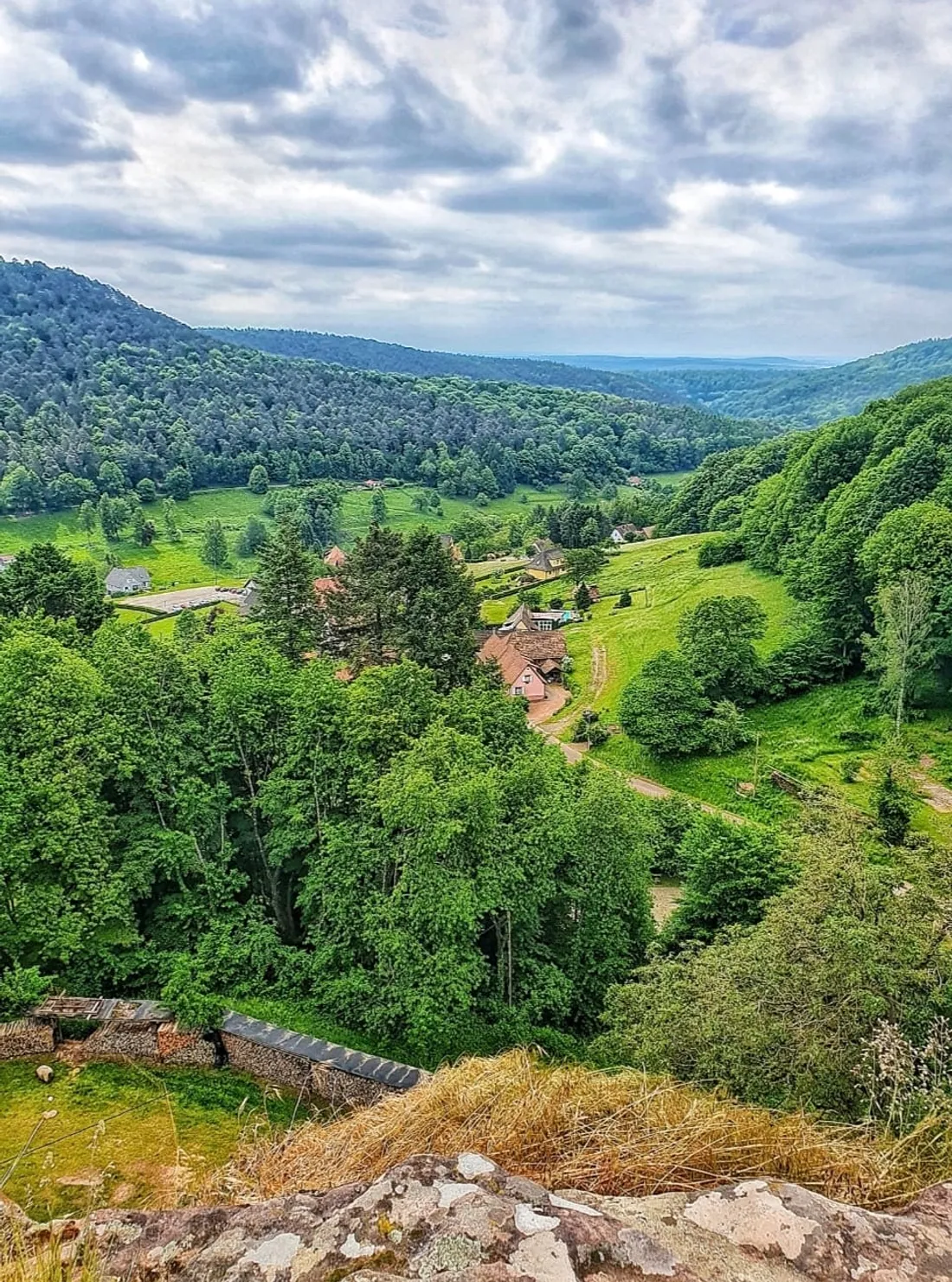 JOUR 3 : SYLVIE EN DIRECT DU GR53 (ITINÉRAIRE PAR TRACES VOSGES DU NORD)