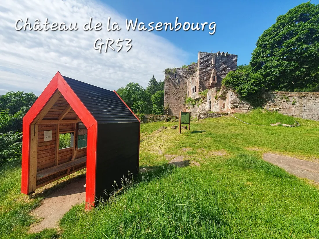 JOUR 4 : SYLVIE EN DIRECT DU GR53 (ITINÉRAIRE PAR TRACES VOSGES DU NORD)