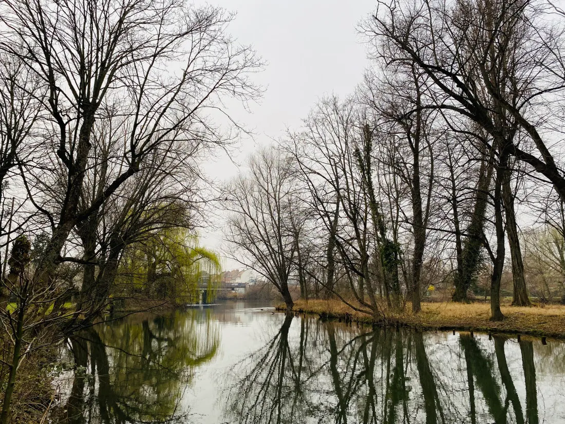 ceinture verte Elsau 2022