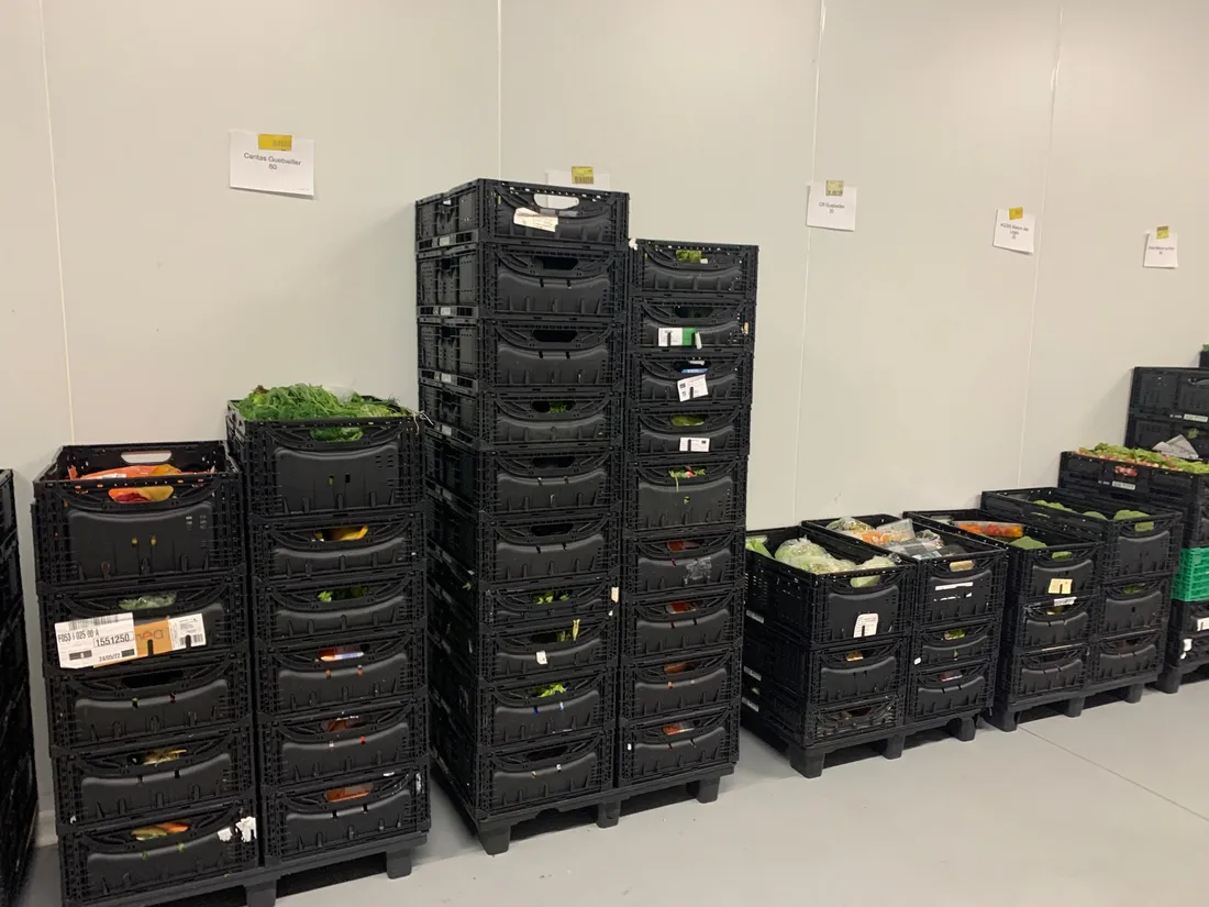 Des bacs de fruits et légumes fraîchement arrivés