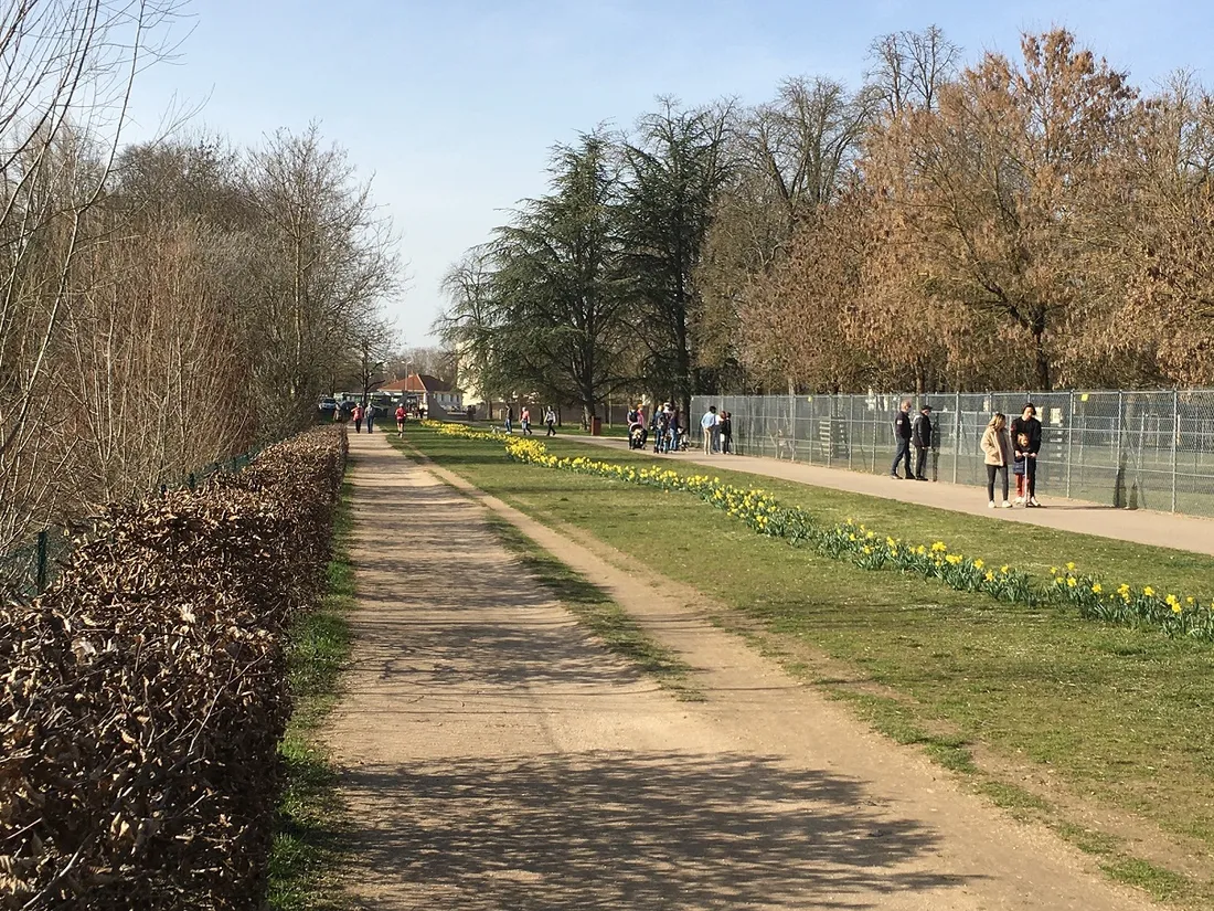 Une course solidaire aura lieu le samedi 13 avril au parc de la Colombière