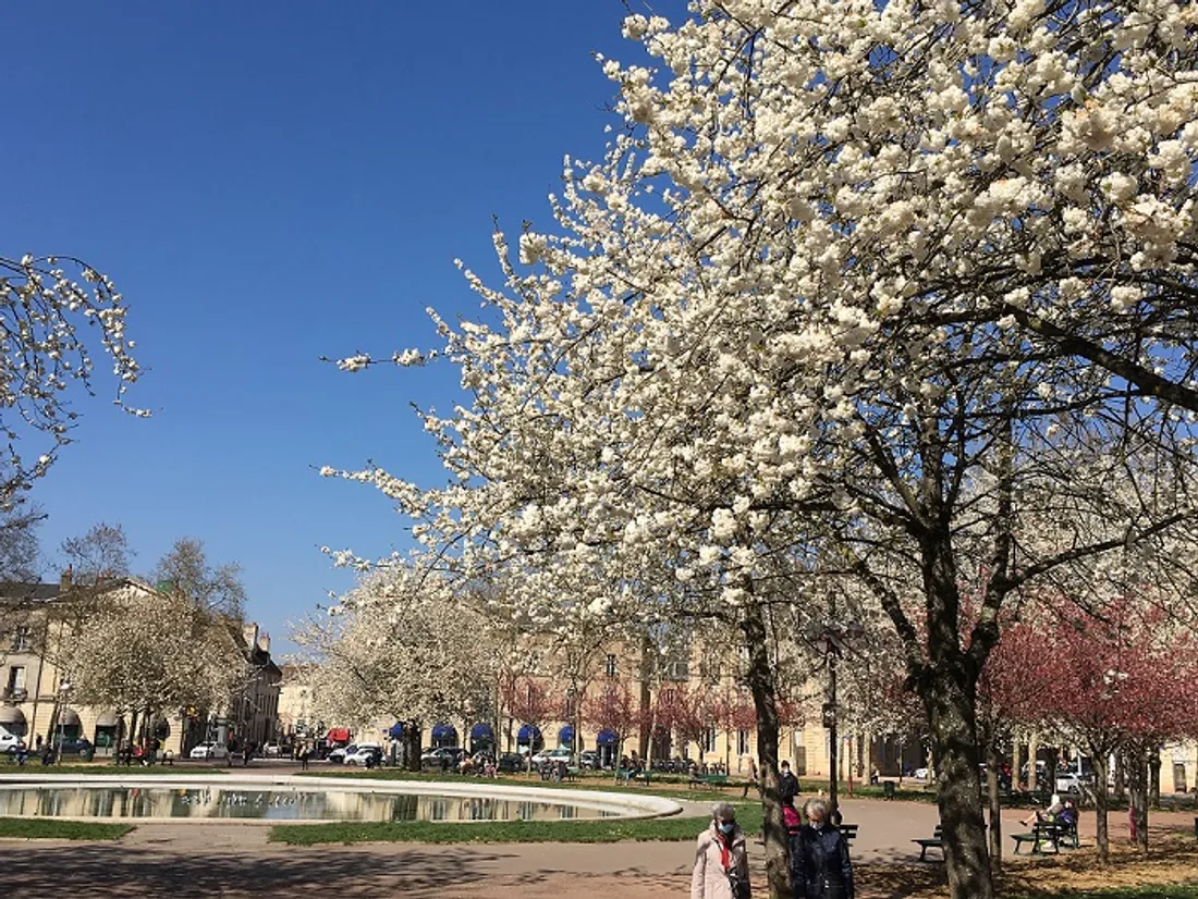 La semaine a aussi été marquée par la présence du soleil comme ici place Wilson, à Dijon 