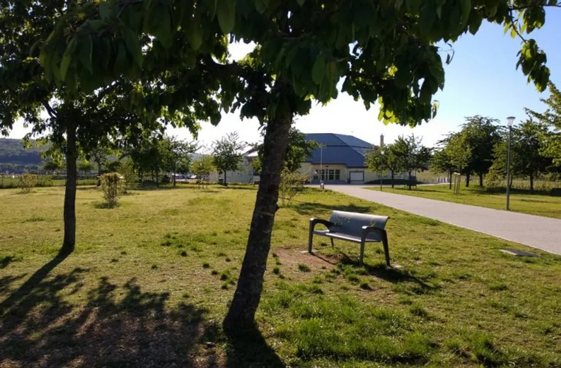 Plusieurs évènements seront proposés dans la ville de Marsannay-la-Côte en février