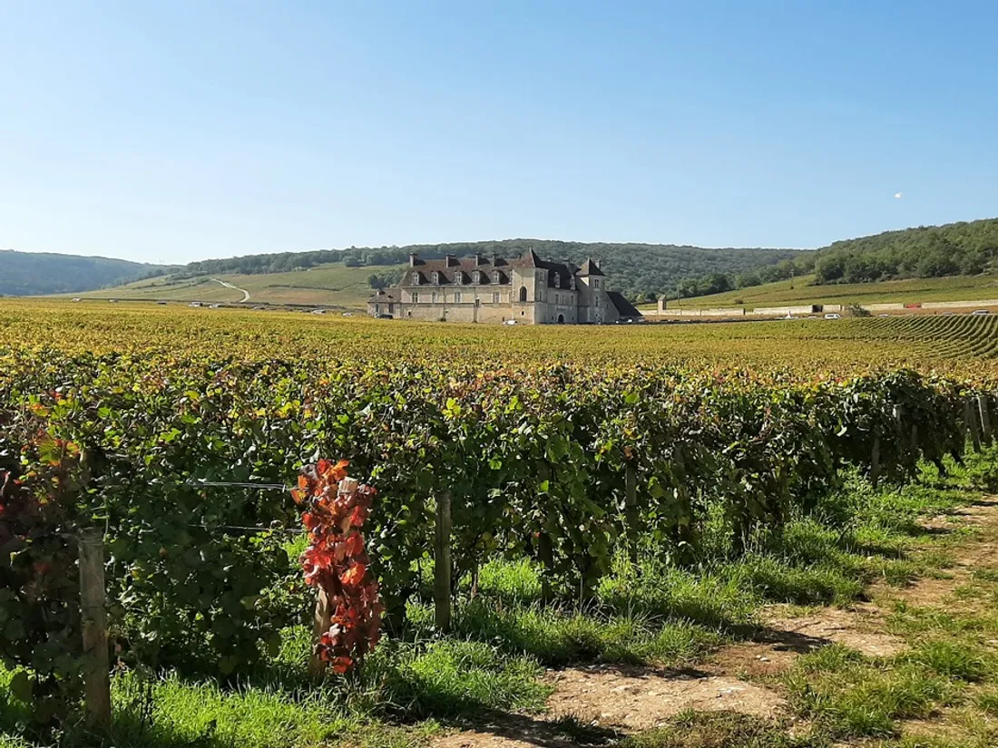 La soirée se déroulera au Château du Clos de Vougeot.