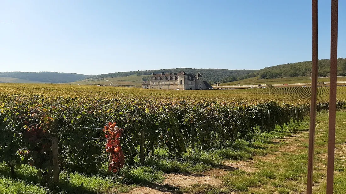 Comme tous les ans, la vente se déroule au château du Clos de Vougeot 