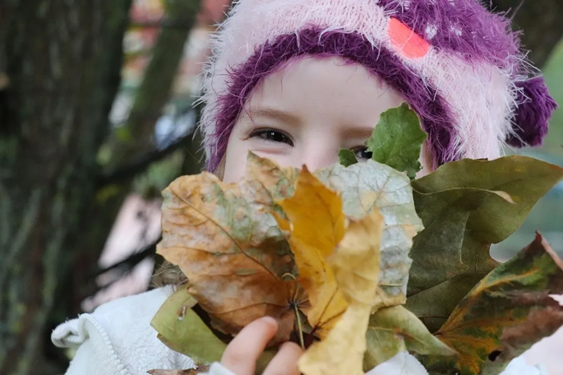 La forêt des enfants est située chemin de la rente de la Motte-Giron, à Dijon 