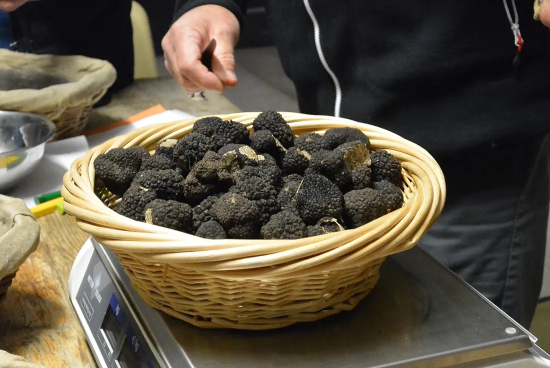 Le samedi 11 octobre, Is-sur-Tille accueille la 20ᵉ édition de la Fête de la Truffe et des Papilles.