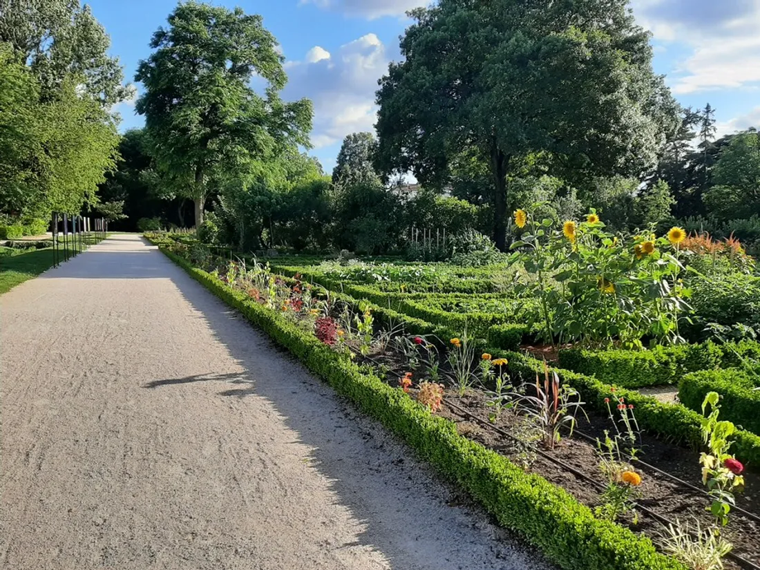 À la découverte des cépages au Jardin de l’Arquebuse