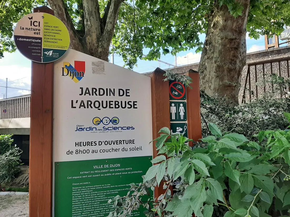 Depuis le 10 juillet et jusqu'au 22 août le jardin de l'Arquebuse proposera des animations.