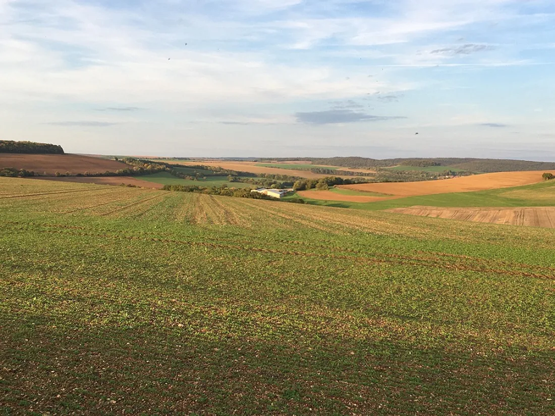 Une assurance récolte a été conçue pour les agriculteurs