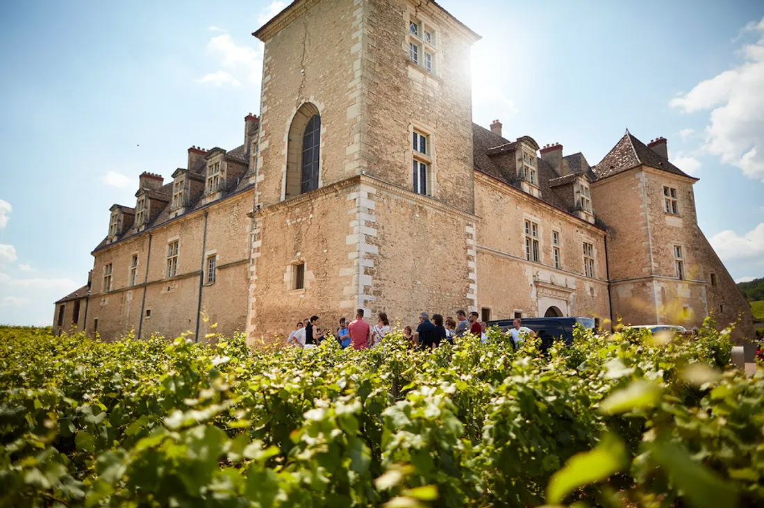 Le château du Clos de Vougeot recrute 