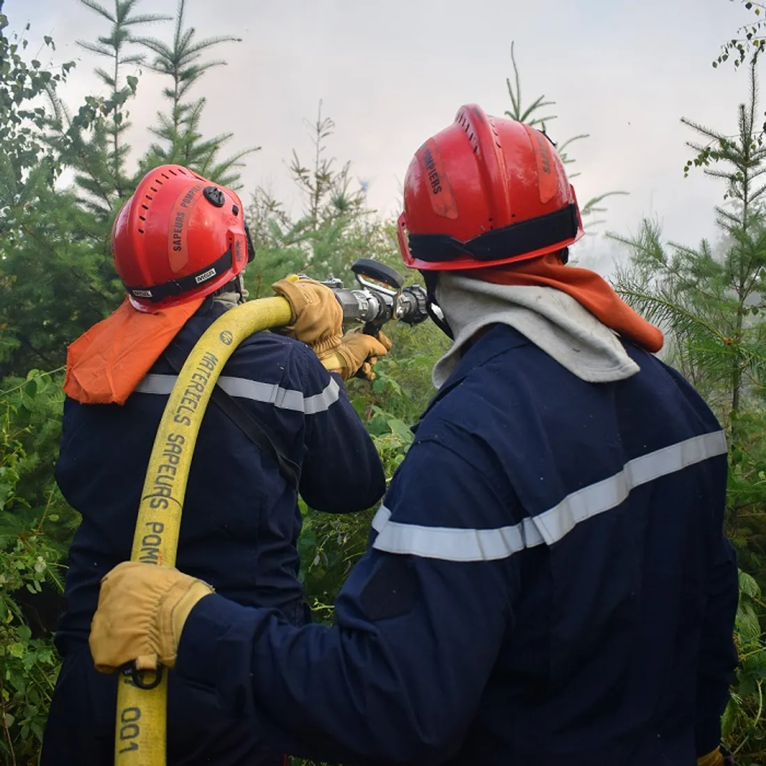 Un nouveau dispositif face aux feux de forêts en Côte-d’Or a été présenté ce jeudi 
