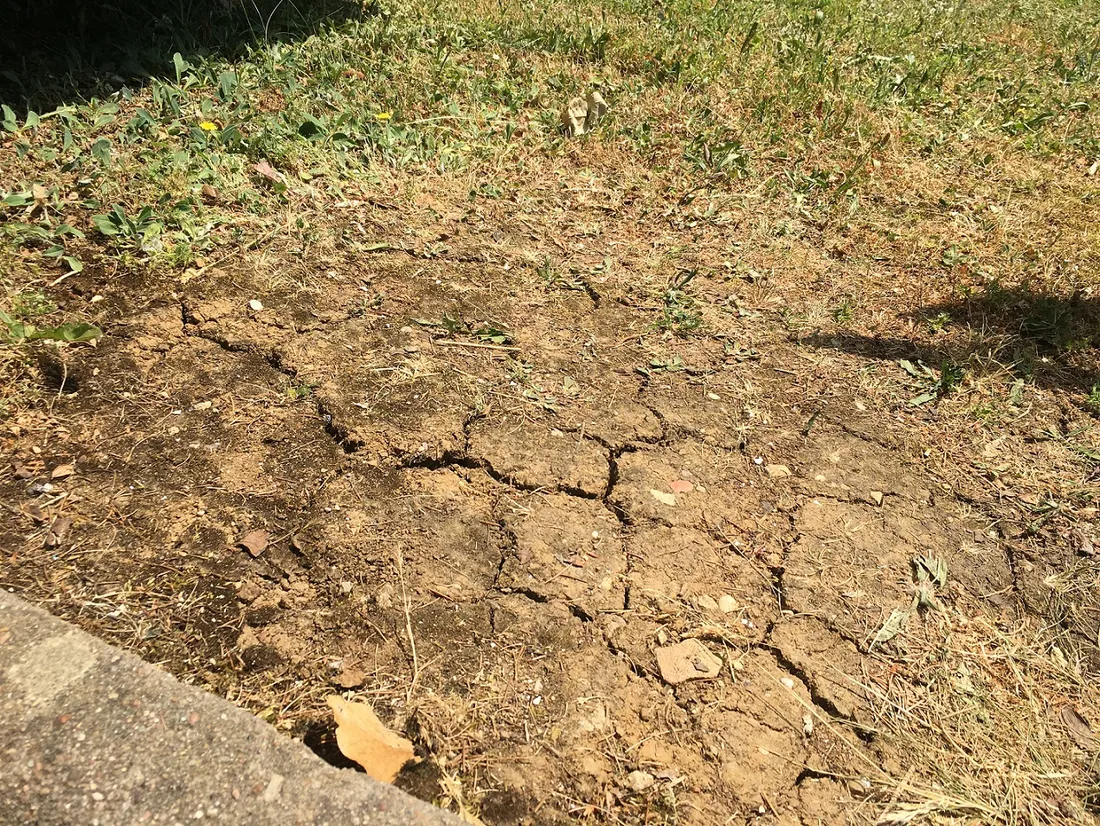 La sécheresse se poursuit en Côte d’Or 