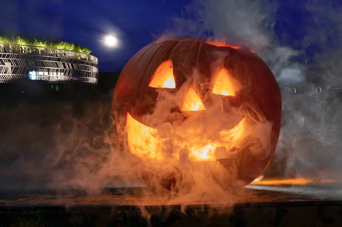 Pendant les vacances de la Toussaint, le MuséoParc proposera un programme pour les familles