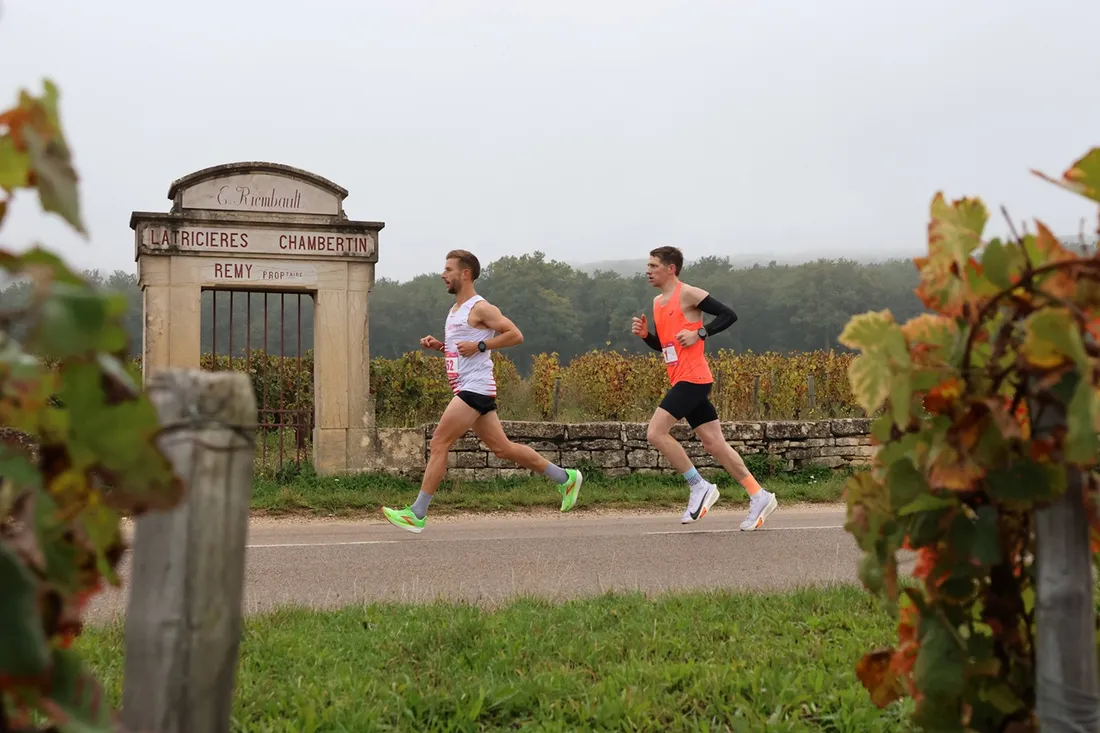 Le marathon des grands crus 2025 aura lieu le 12 octobre 