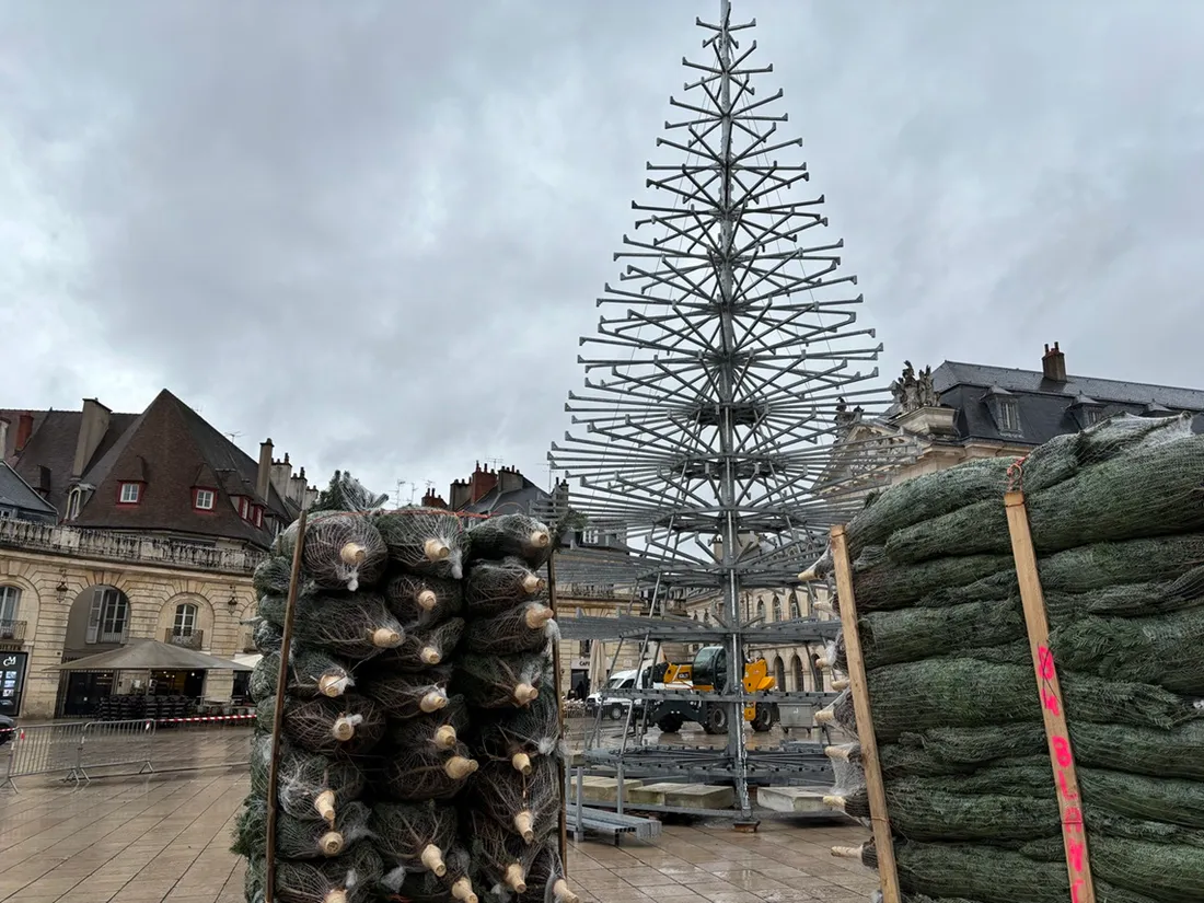 Dijon métropole collecte les sapins de Noël du 4 au 12 janvier 2025 dans ses 23 communes.