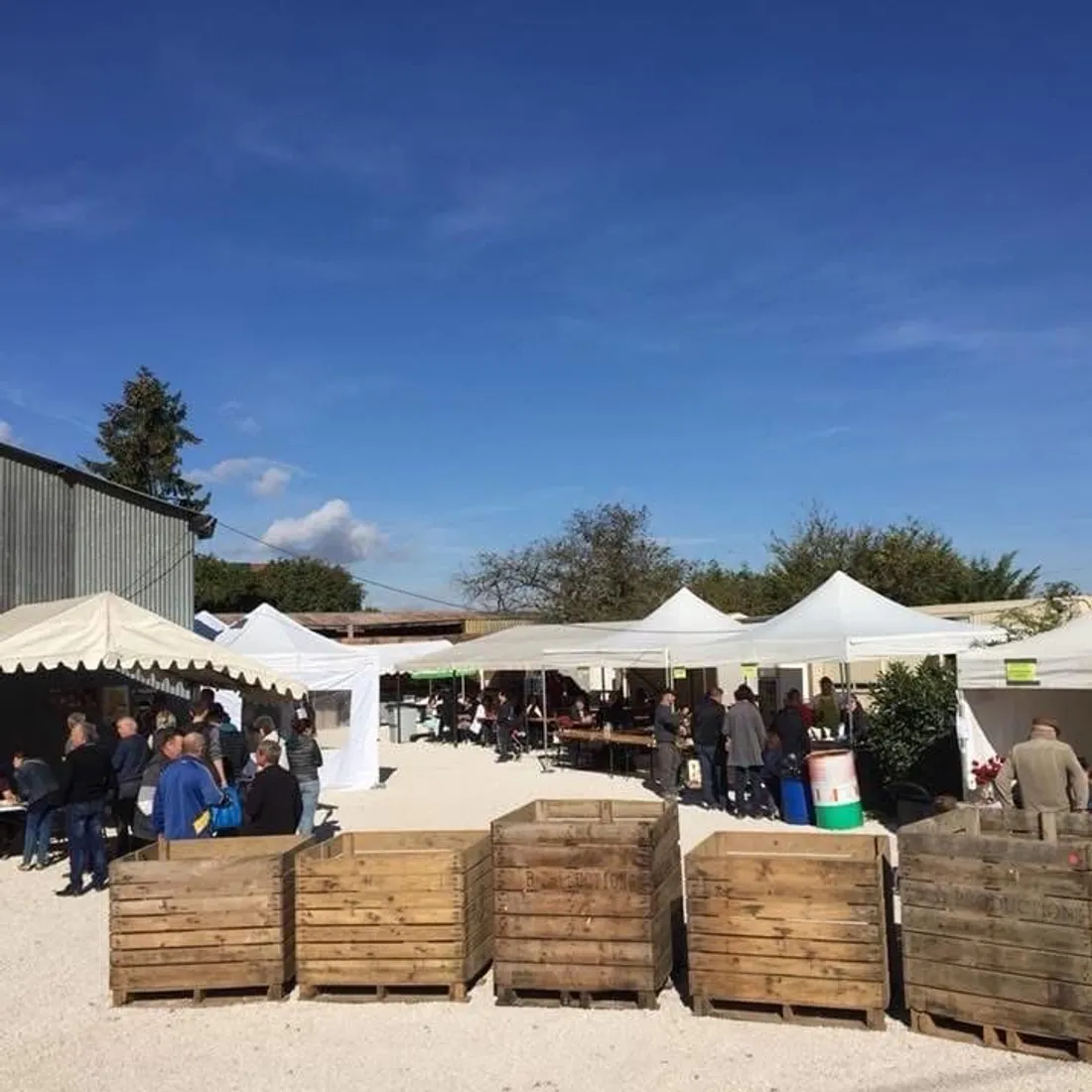 Cette année, l'association des Producteurs Dijonnais célèbre ses 10 ans