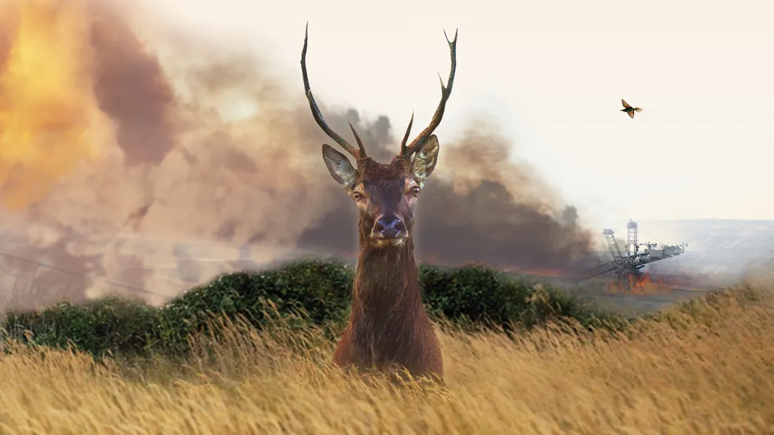 Le cinéma CGR de Beaune diffusera un documentaire engagé sur l'écologie le 16 octobre prochain.