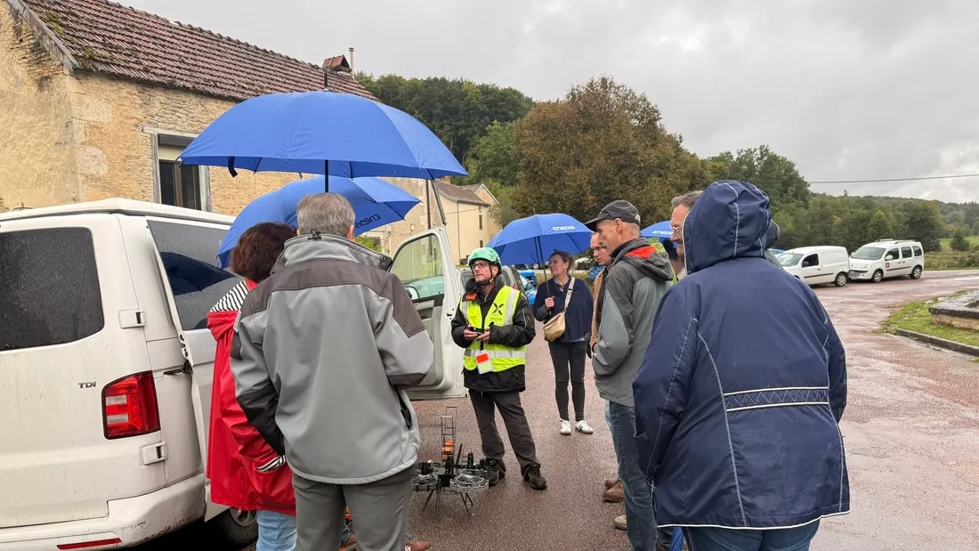 Enedis et la LPO Bourgogne Franche-Comté s'associent pour sauver les oiseaux 