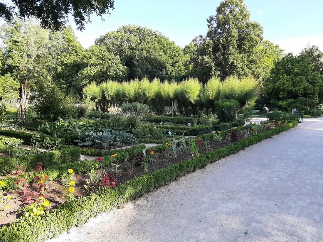 Un nouveau spectacle débarque au Jardin de l'Arquebuse à Dijon