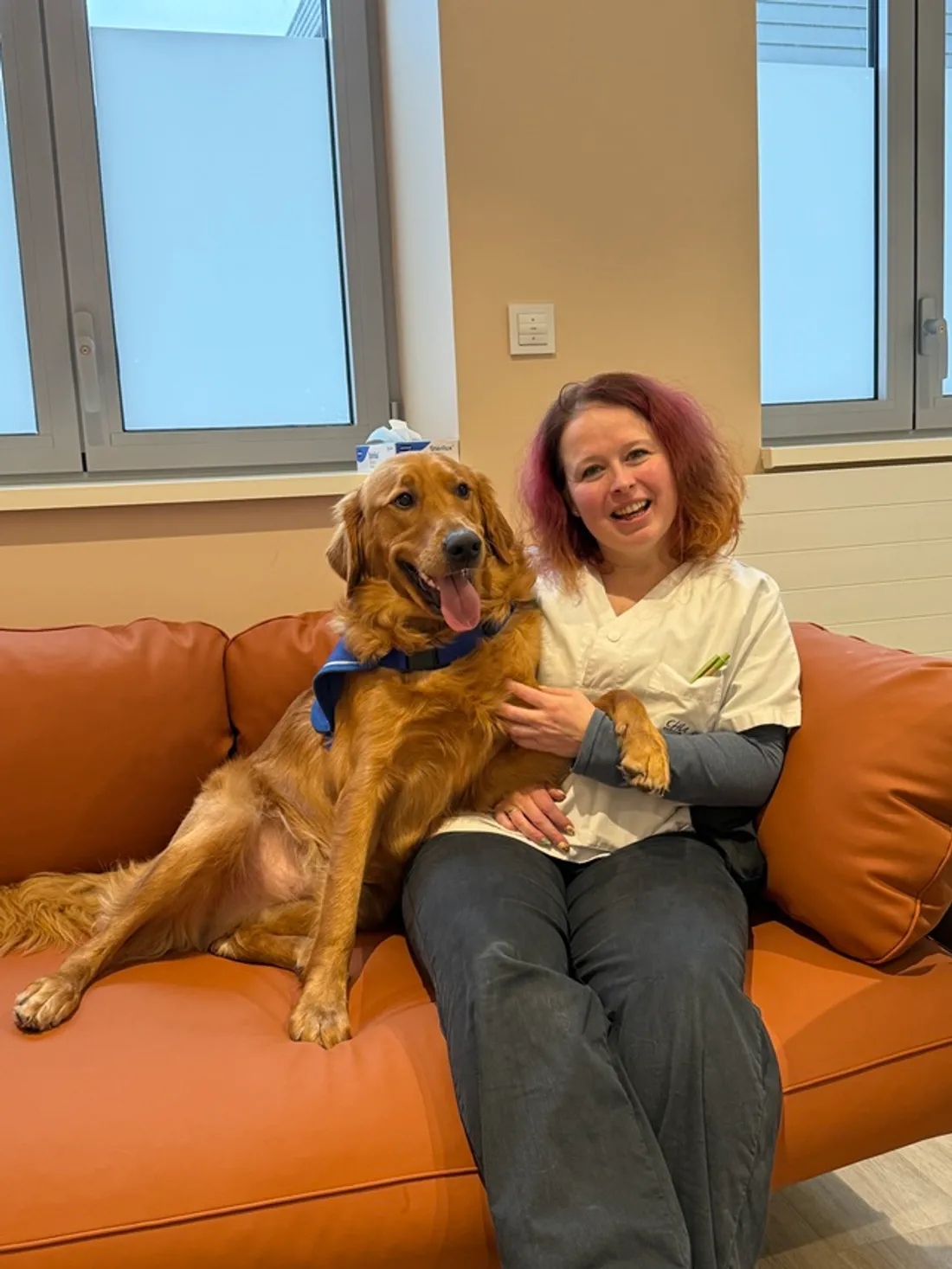 Vox, un golden retriever, aide les enfants victimes de violences à se sentir mieux à l’UAPED du CHU.