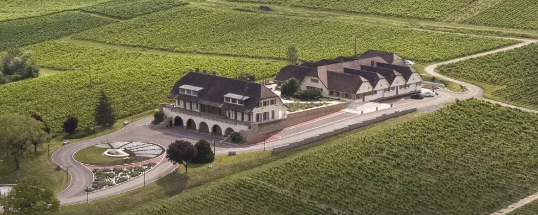 LE Domaine de la Pinte à Arbois